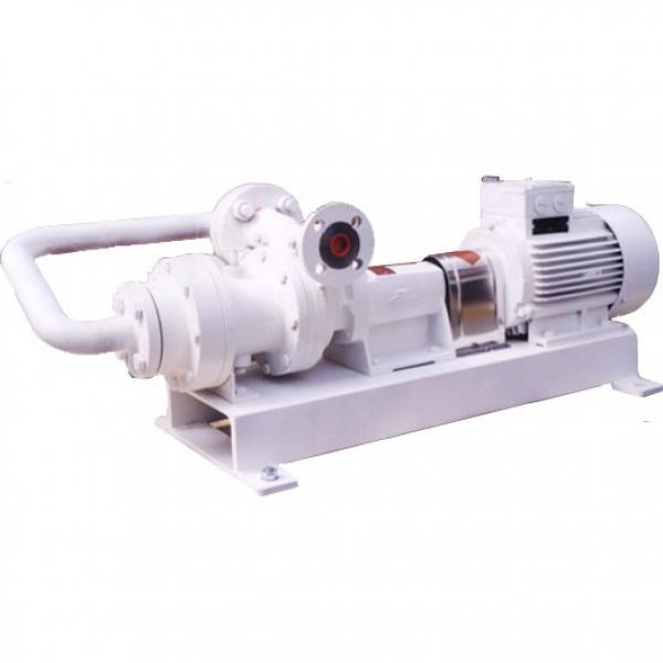 NACHI IPH-6B-100-21 IPH Series Gear Pump #1 image