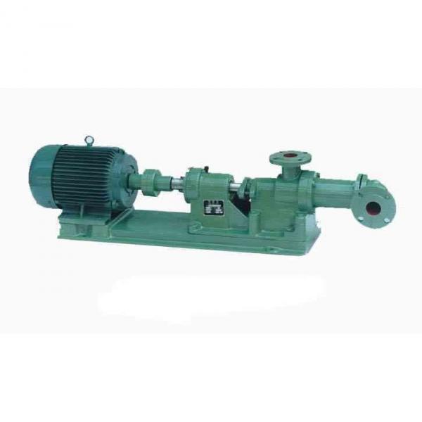 NACHI IPH-4A-20-20 IPH Series Gear Pump #1 image